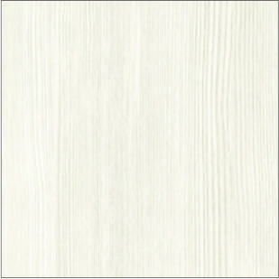 Белый кипарис